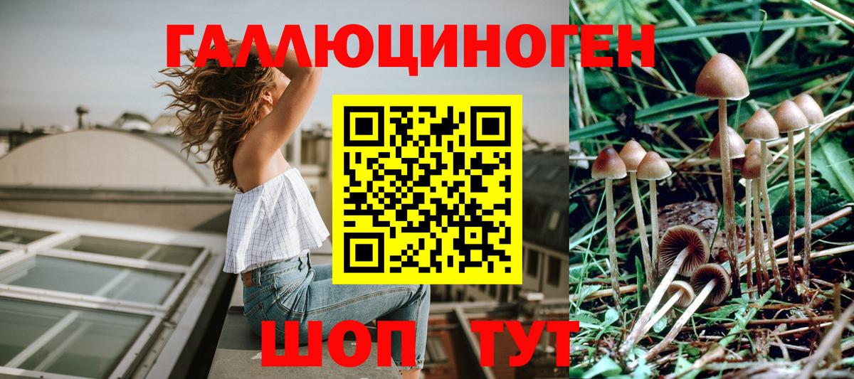Холмск  Псилоцибиновые грибы мицелий  Вход с VPN 